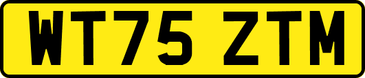 WT75ZTM