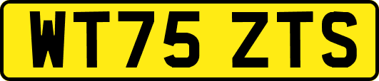 WT75ZTS