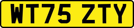 WT75ZTY