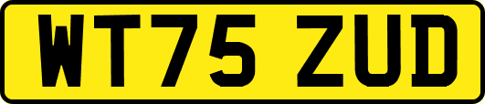 WT75ZUD