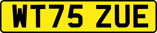 WT75ZUE