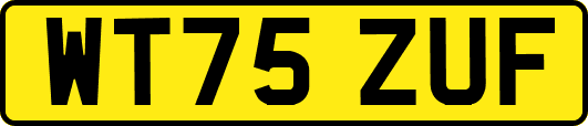 WT75ZUF