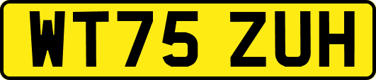 WT75ZUH