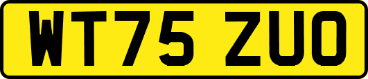 WT75ZUO