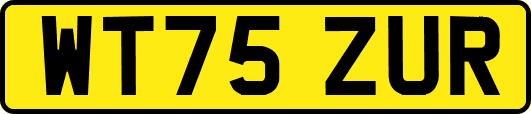 WT75ZUR
