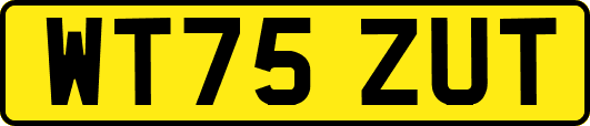 WT75ZUT