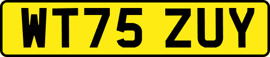 WT75ZUY