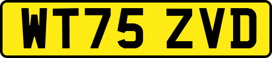WT75ZVD