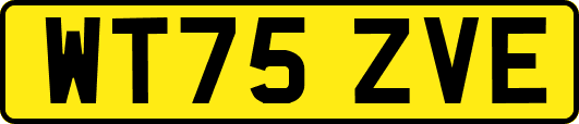 WT75ZVE