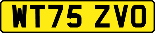 WT75ZVO