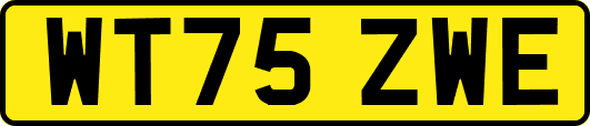 WT75ZWE