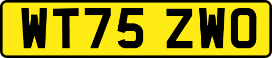 WT75ZWO