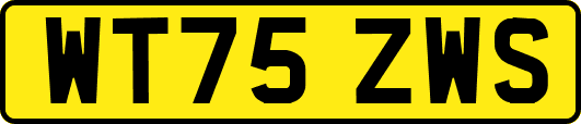 WT75ZWS