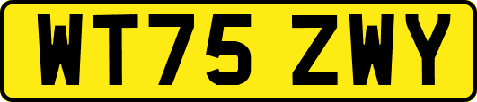 WT75ZWY