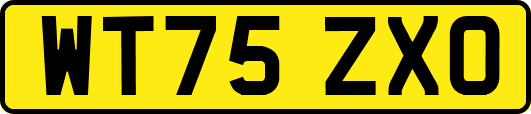 WT75ZXO