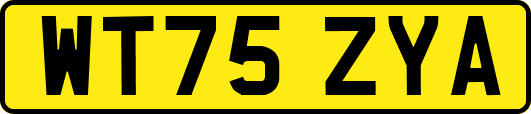 WT75ZYA