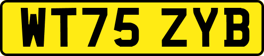 WT75ZYB