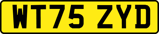 WT75ZYD
