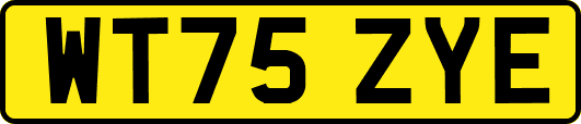 WT75ZYE