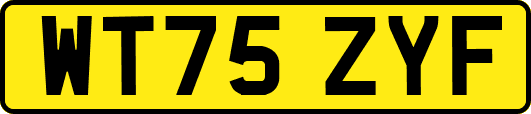 WT75ZYF