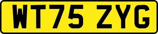 WT75ZYG