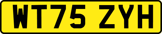 WT75ZYH