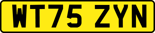 WT75ZYN