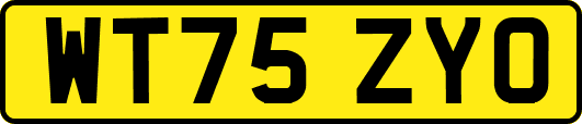 WT75ZYO