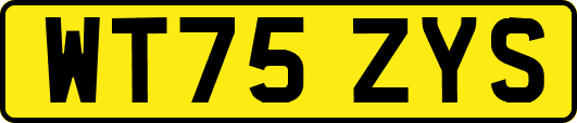 WT75ZYS
