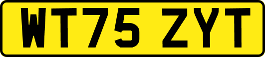 WT75ZYT