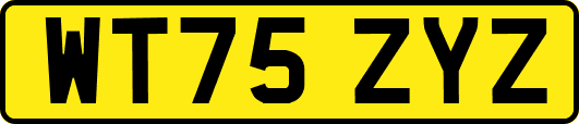 WT75ZYZ