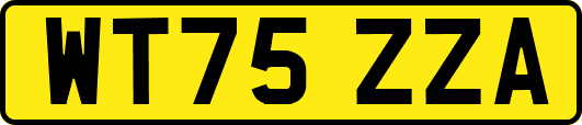 WT75ZZA