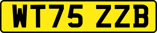 WT75ZZB