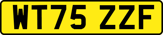 WT75ZZF