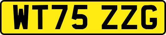 WT75ZZG