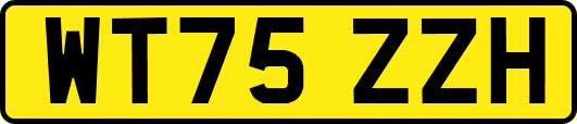 WT75ZZH