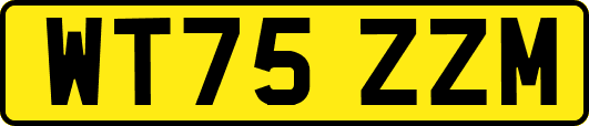 WT75ZZM