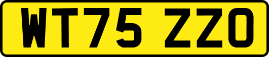 WT75ZZO