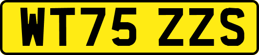 WT75ZZS