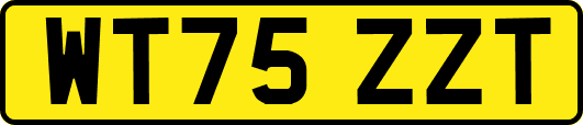 WT75ZZT