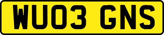 WU03GNS