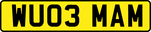 WU03MAM