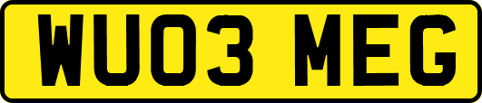 WU03MEG