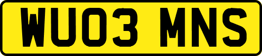 WU03MNS