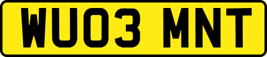 WU03MNT