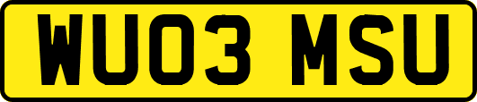WU03MSU