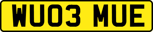 WU03MUE