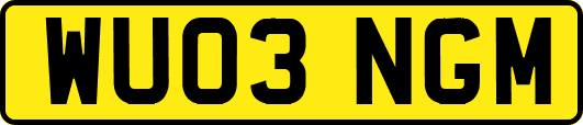 WU03NGM