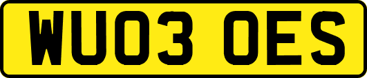 WU03OES