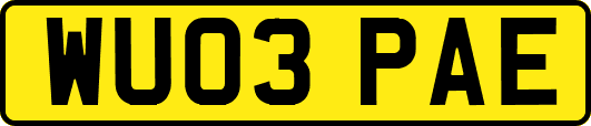 WU03PAE